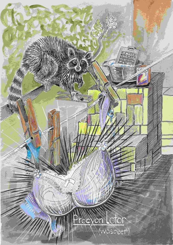 Magische Dieren